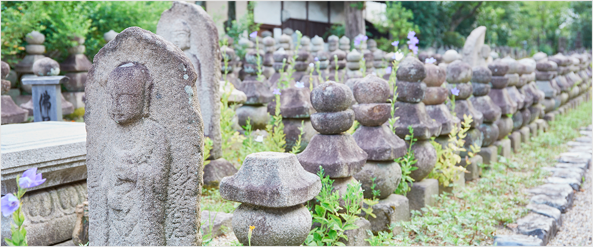 国宝、世界遺産について
