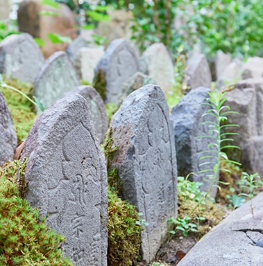 元興神(ガゴゼ)について